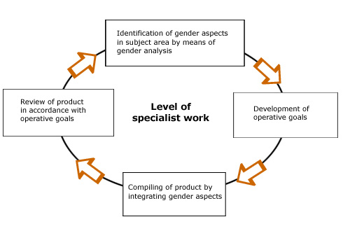 The process of implementing Gender Mainstreaming at the level of specialist work