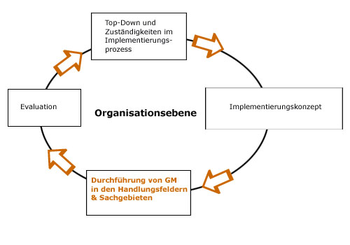Implementierungsprozess auf Organisationsebene